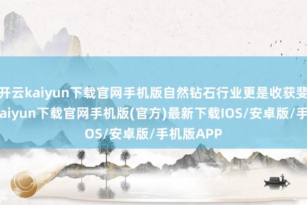 開云kaiyun下載官網手機版自然鉆石行業更是收獲斐然-開云kaiyun下載官網手機版(官方)最新下載IOS/安卓版/手機版APP
