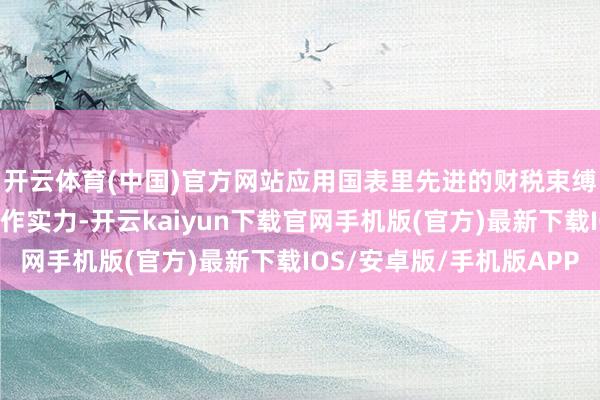 開云體育(中國)官方網站應用國表里先進的財稅束縛理念和重大的成本運作實力-開云kaiyun下載官網手機版(官方)最新下載IOS/安卓版/手機版APP