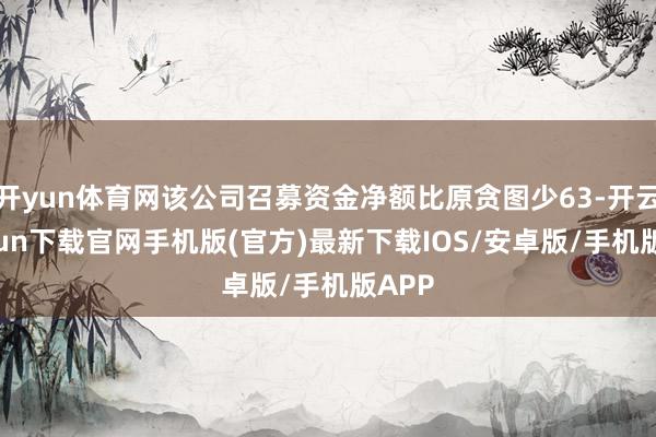 開yun體育網(wǎng)該公司召募資金凈額比原貪圖少63-開云kaiyun下載官網(wǎng)手機版(官方)最新下載IOS/安卓版/手機版APP